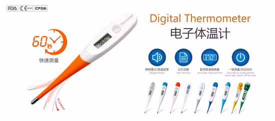 Flexibles digitales Thermometer